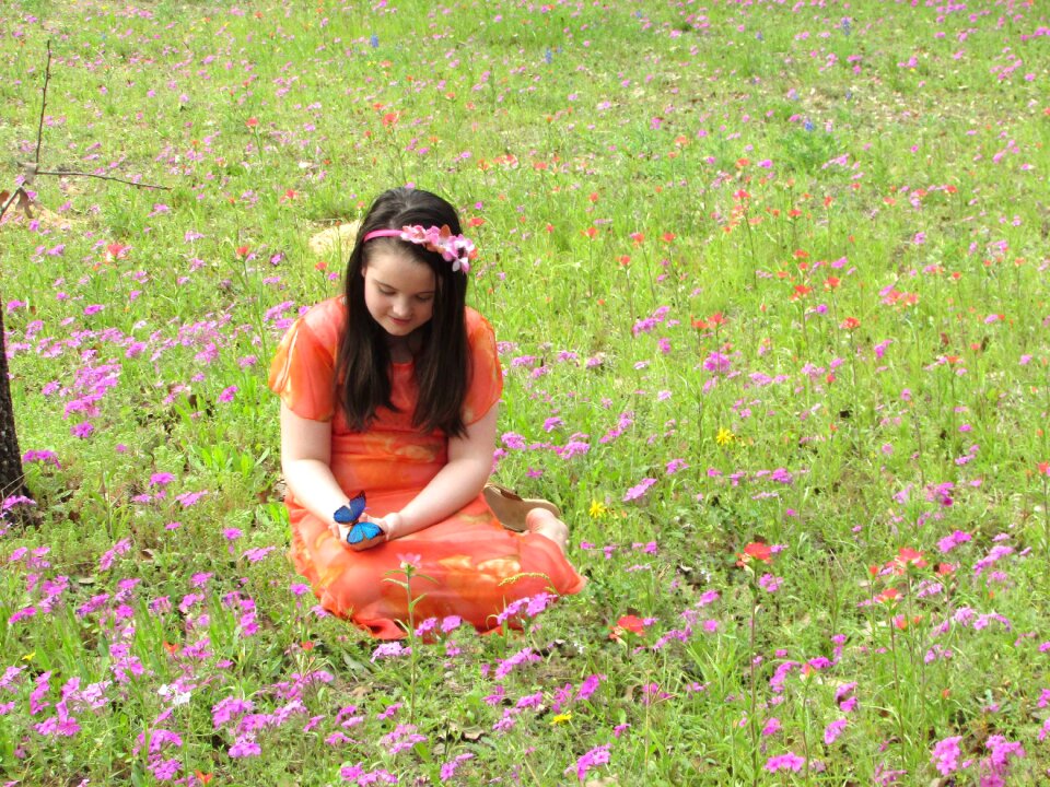 Butterfly spring childhood