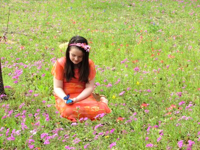 Butterfly spring childhood