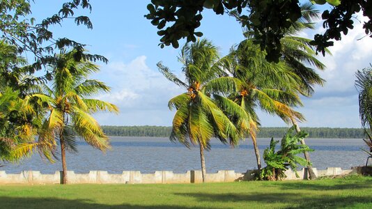 End of afternoon route de plages palm trees