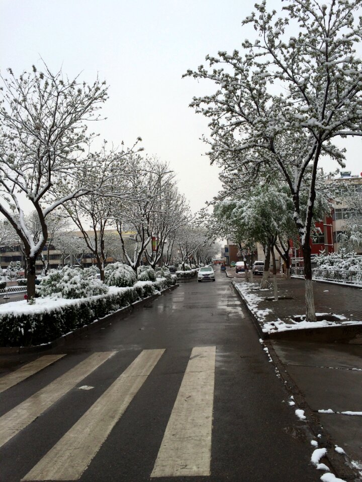 May snow ningxia hui autonomous region