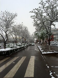 May snow ningxia hui autonomous region