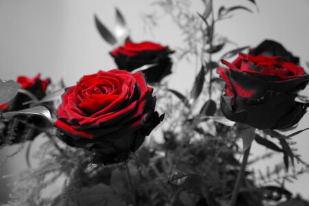 Decoration composition flower arranging