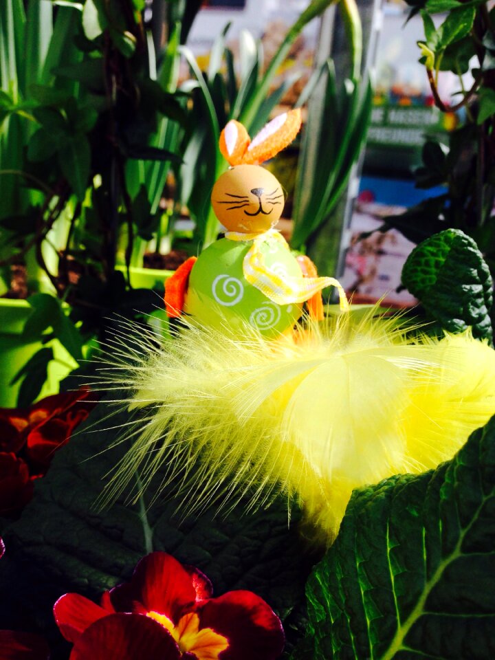 Easter bunny spring flowers