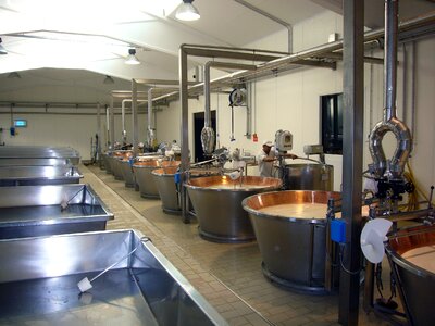 Parmesan production parma