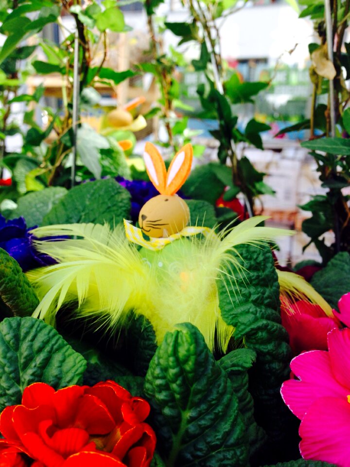 Easter bunny spring flowers