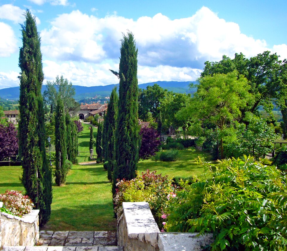 Tuscany cypress avenue