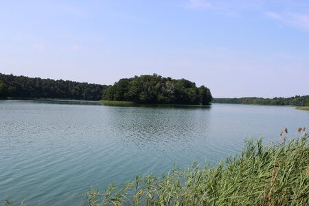 Nature landscape grass photo