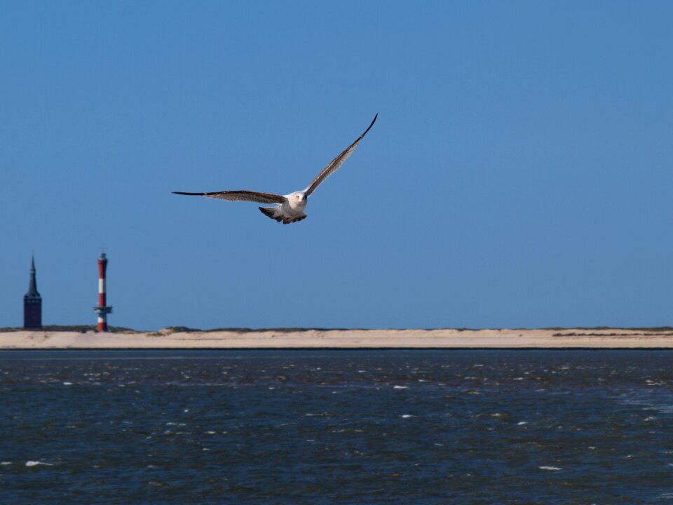 Flying wangerooge west tower