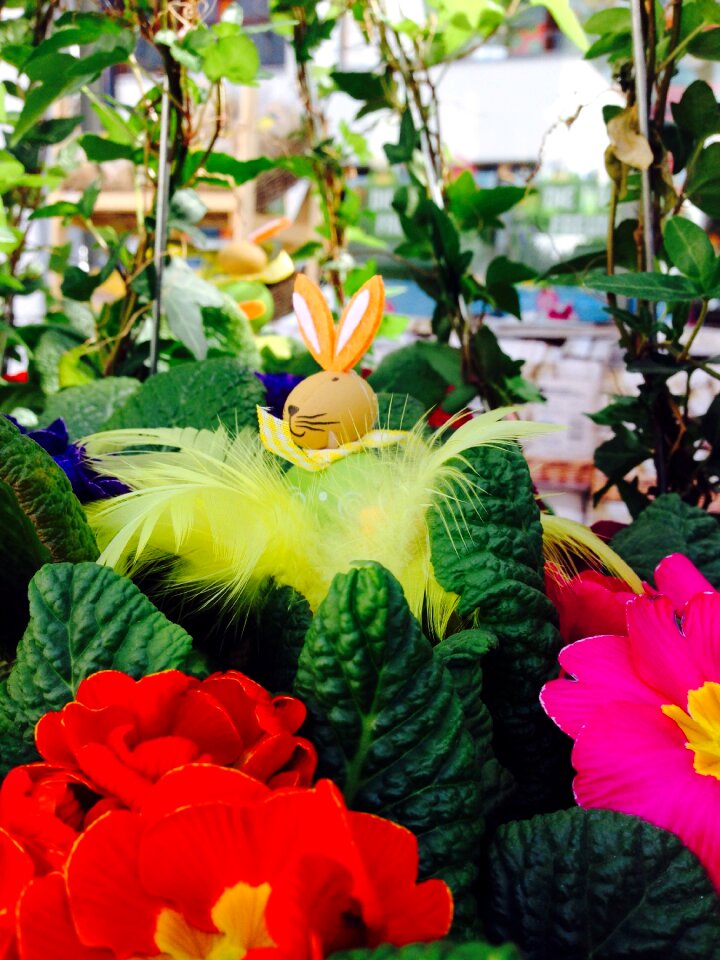 Easter bunny spring flowers