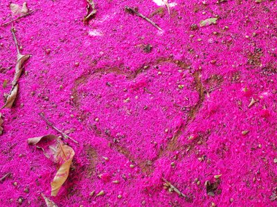 Nature heart leaves