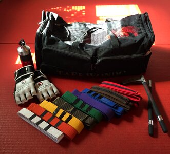 Taekwondo martial arts gear