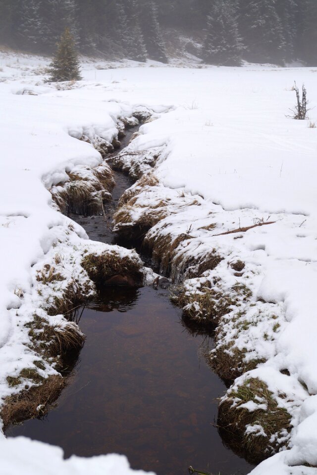 Stream nature flowing