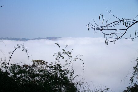 Tree frost mountains and hills