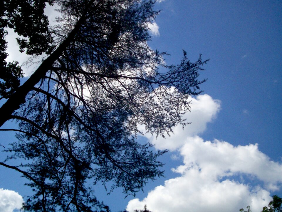 Cloud scenic