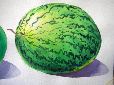 Watercolor illustration fruit
