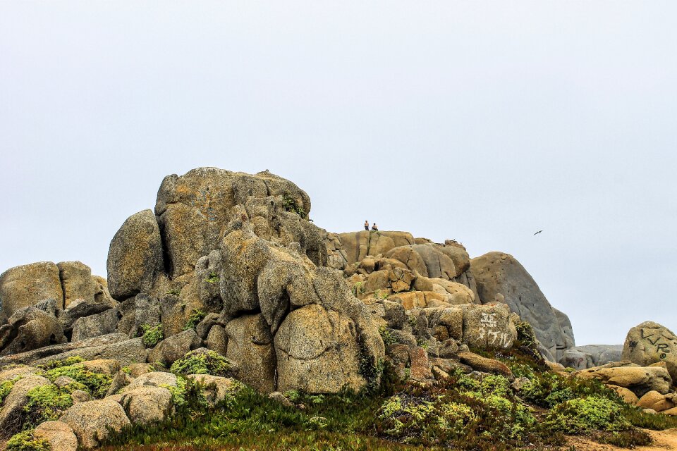 Stones punta de tralca chile