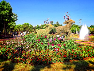 Chiang rai thailand asia photo