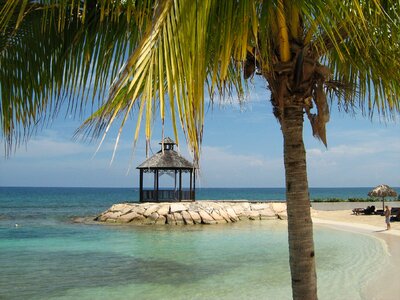 Palm travel paradise photo