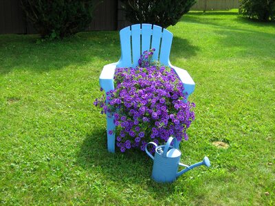 Potted petals pot