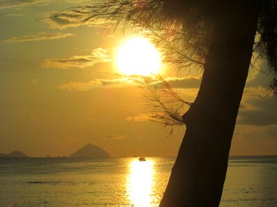 The sea the sun pine trees