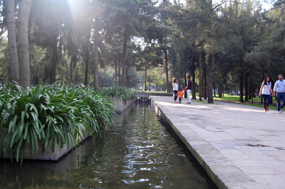 Source afternoon gardens