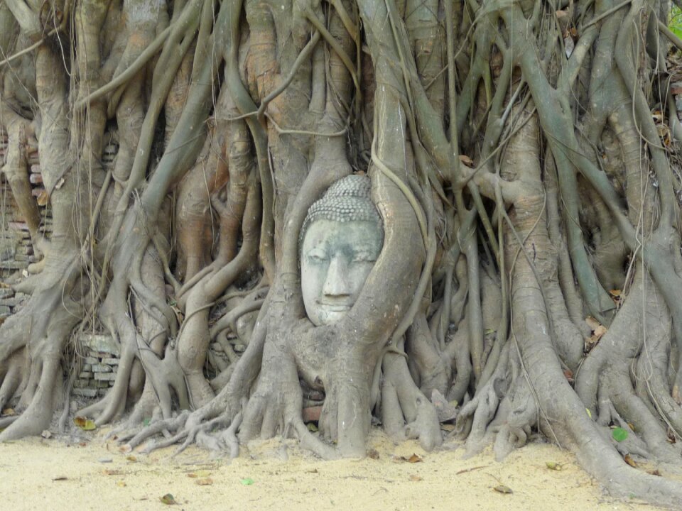 Buddhist religious buddha