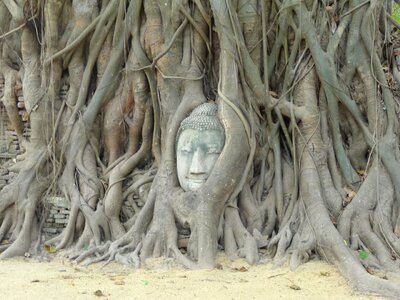 Buddhist religious buddha