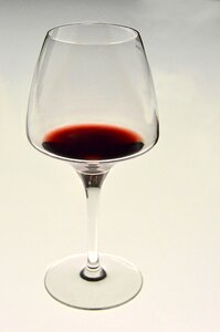 Glass red wine drink photo