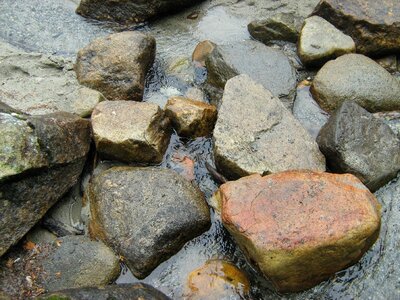 Creek natural wilderness photo