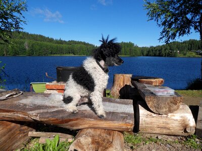 Lake summer myhinkoski
