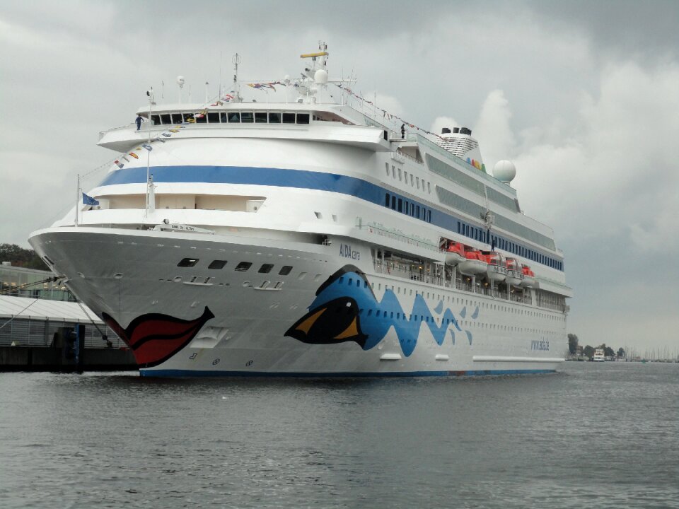 Passenger-wrong aida aida cara
