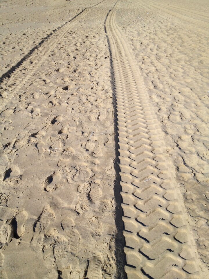 Desert reprint trace
