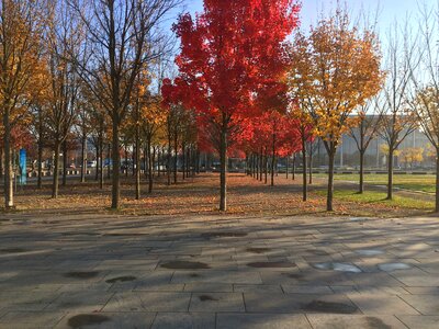 Germany fall foliage capital