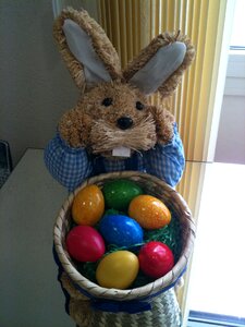 Easter easter bunny easter eggs