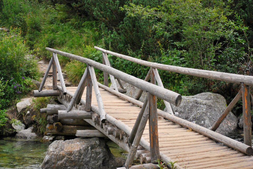 Torrent brook wooden bridge