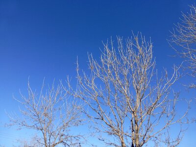 Sky clear blue