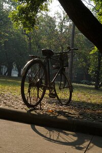 Small fresh campus bicycle