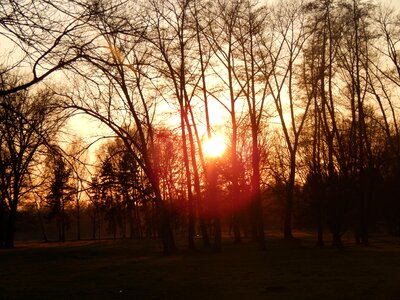 Spring stromovka trees
