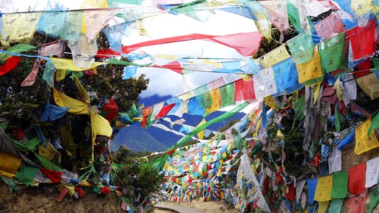 Buddhism travel by the book