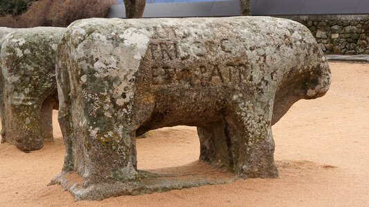 Sculpture boar vetones