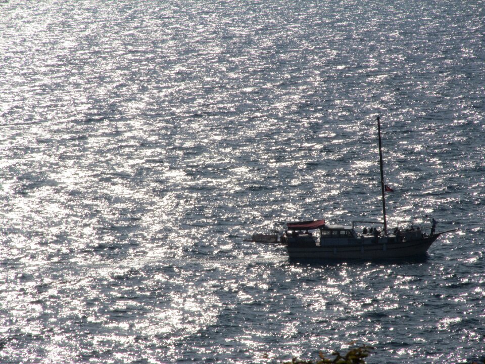 Sparkle peace marine