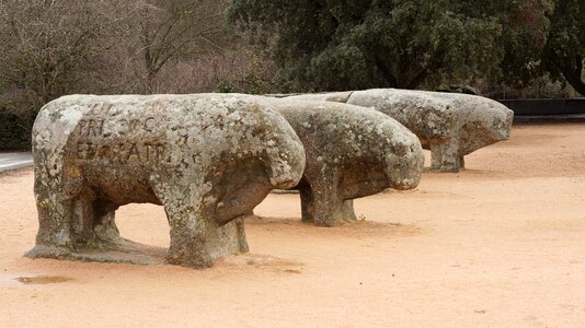 Sculpture boar vetones