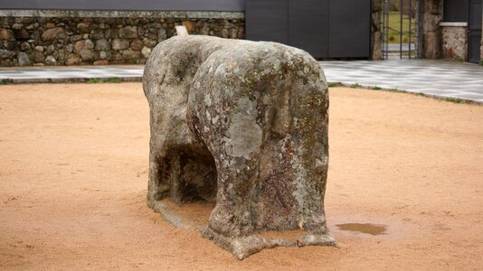 Sculpture boar vetones