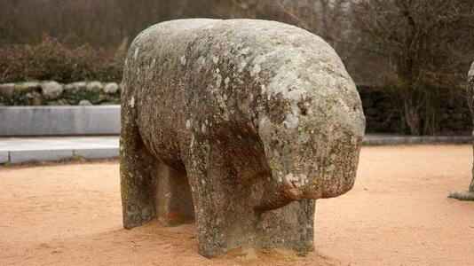 Sculpture boar vetones