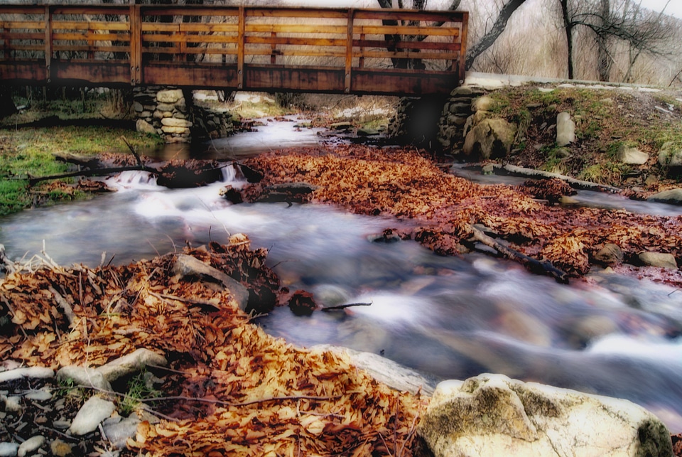 Bridge autumn landscape photo