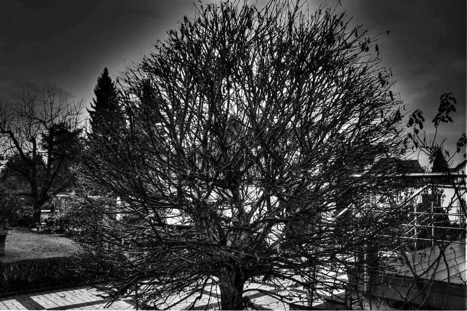 Wintry cold winter cold