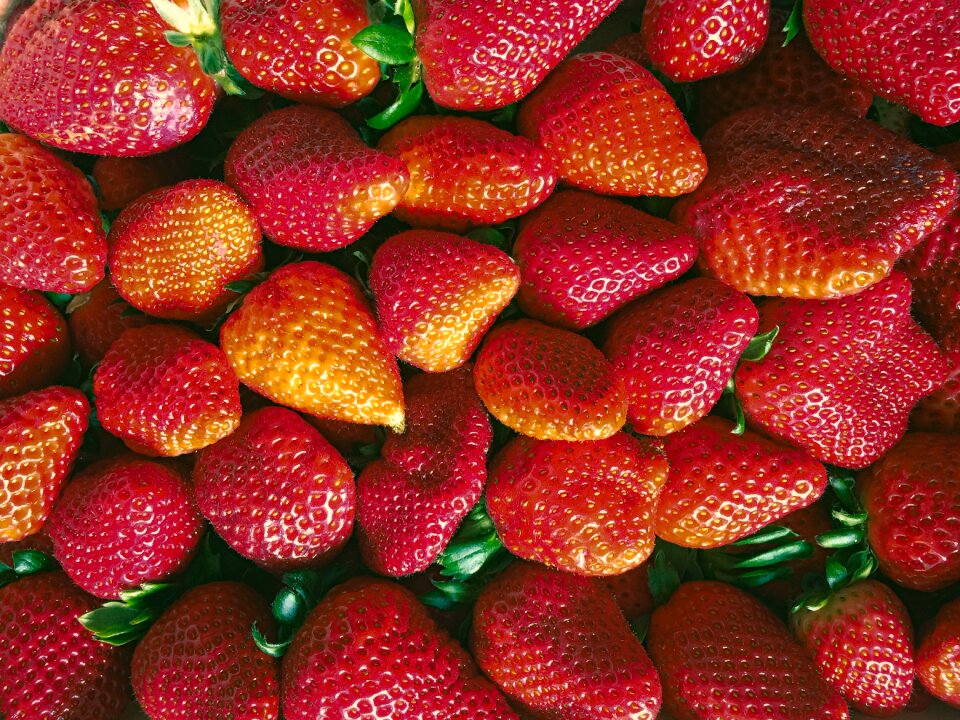 Fruit summer eat