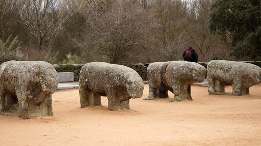 Sculpture boar vetones