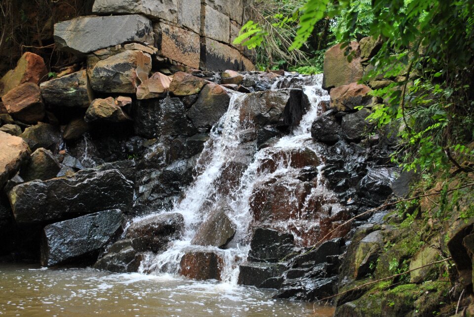 Rocks nature forest