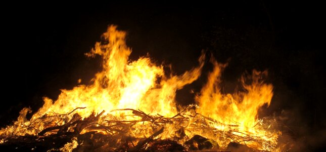 Burn flame wood photo